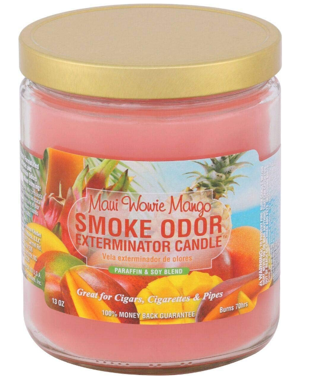 Smoke Odor Exterminator 13oz 