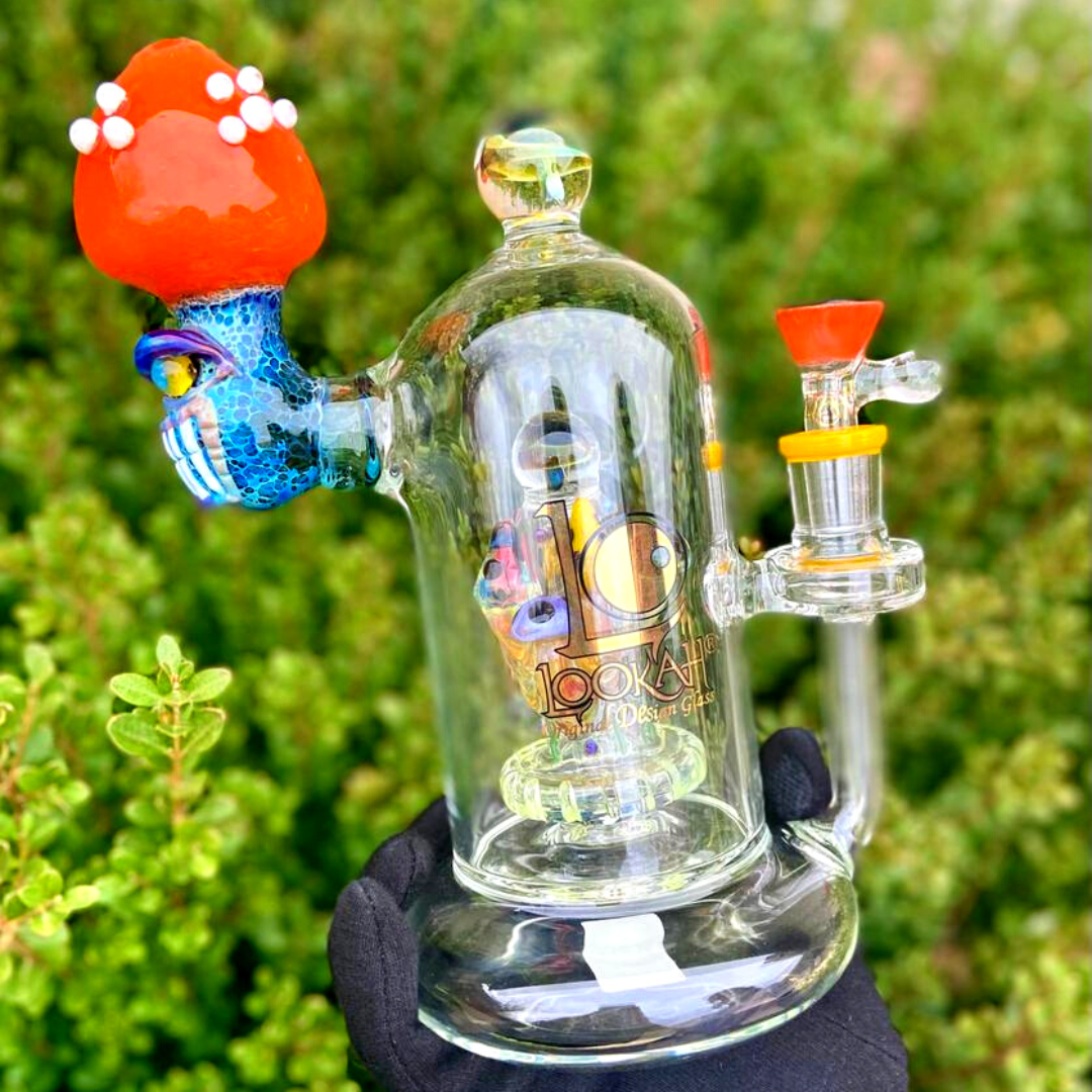 Giant Chambered Mushroom Bong - Lookah