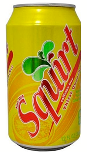 Squirt Grapefruit Soda Can Diversion Safe Stash Can Hidden Storage Compartment